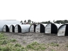 Farrowing sheds